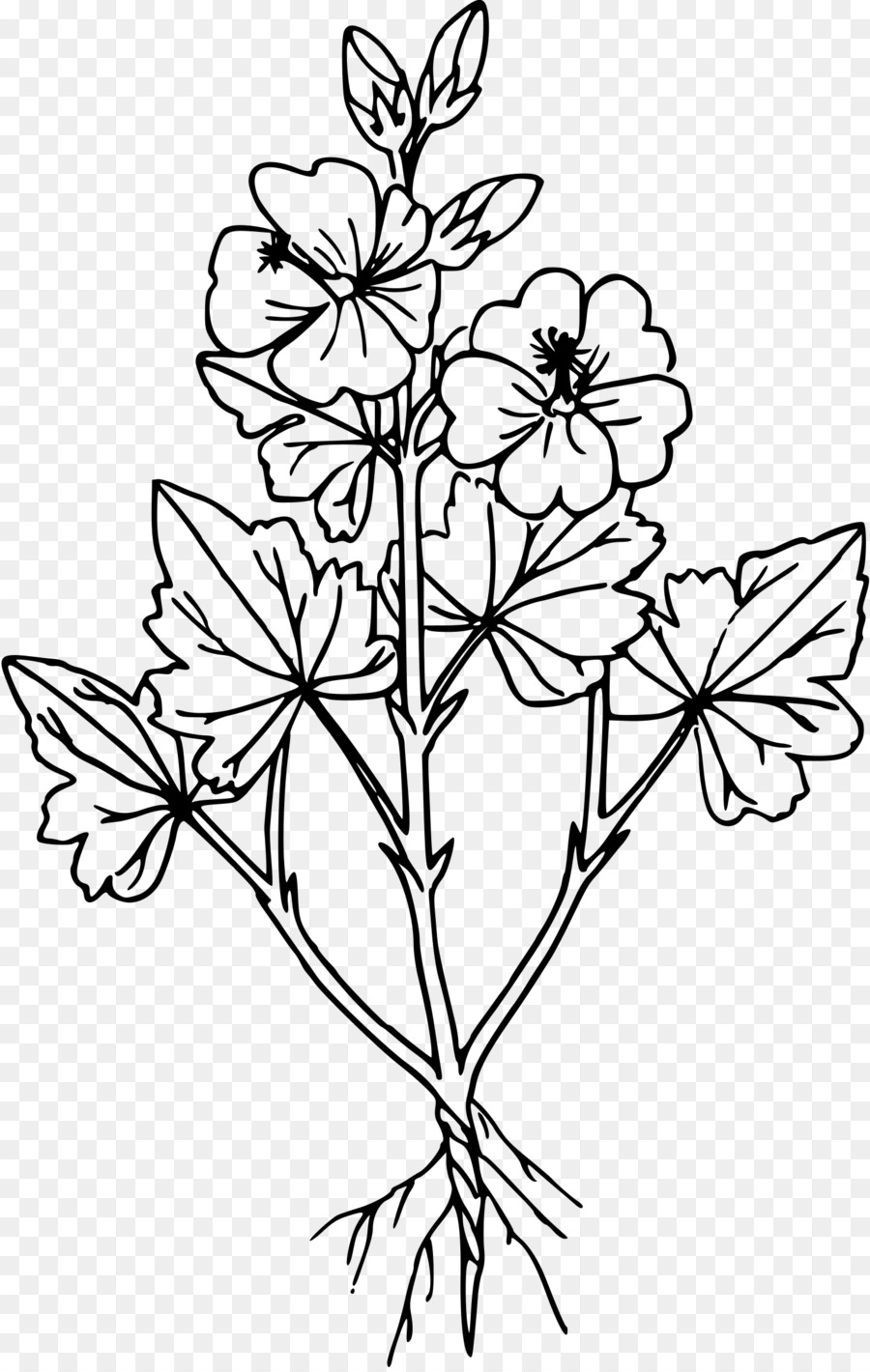 Dibujo De Flores，En Blanco Y Negro PNG