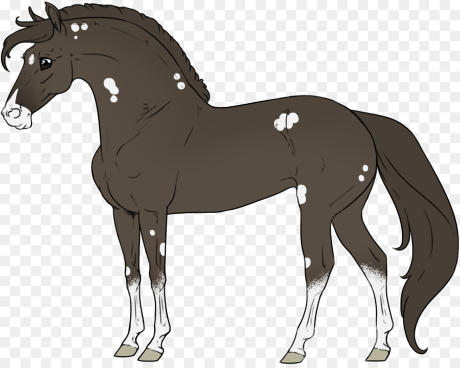 Caballo，Potro PNG