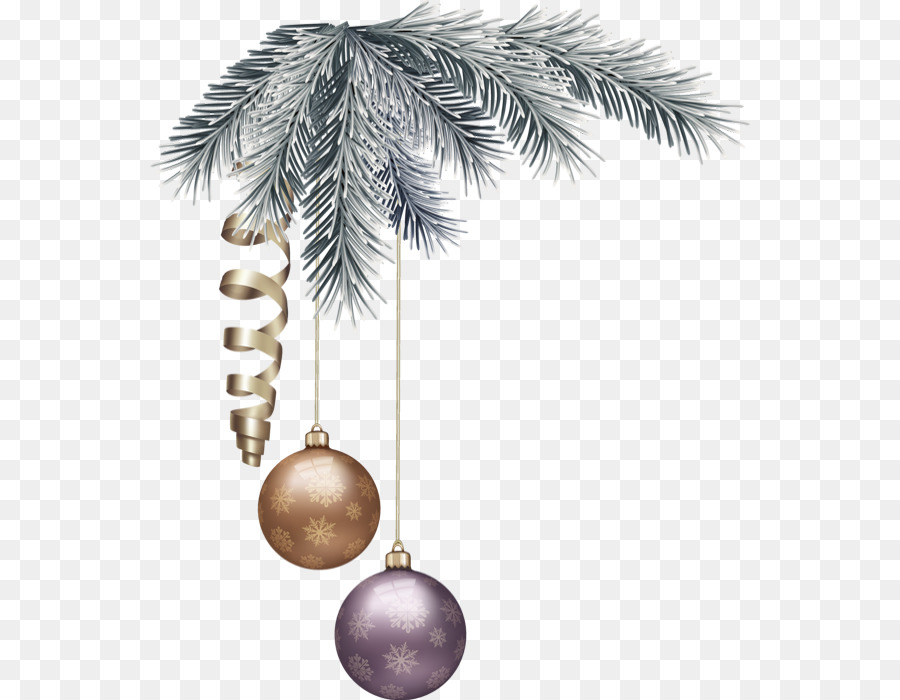 Fir，Decoración De La Navidad PNG