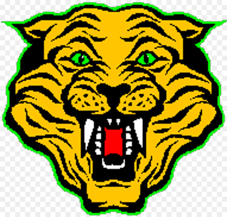 Cabeza De Tigre，Felino PNG