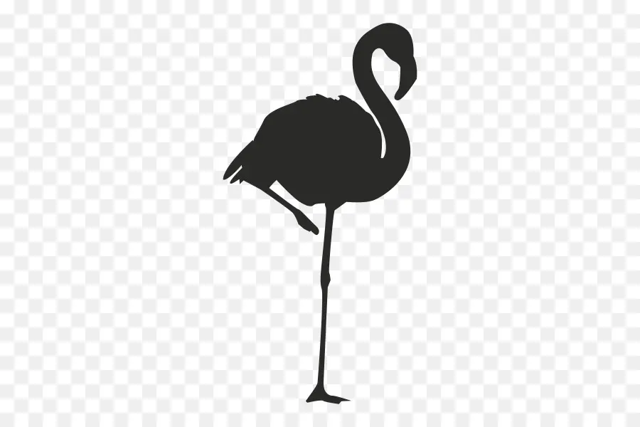 Flamingo，Logotipo PNG