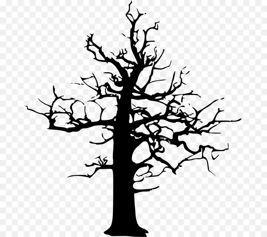 árbol，Dibujo PNG