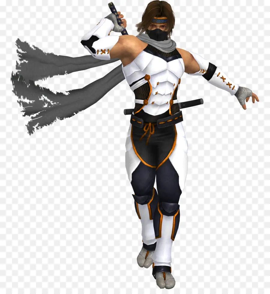 Ryu Hayabusa，Kasumi PNG