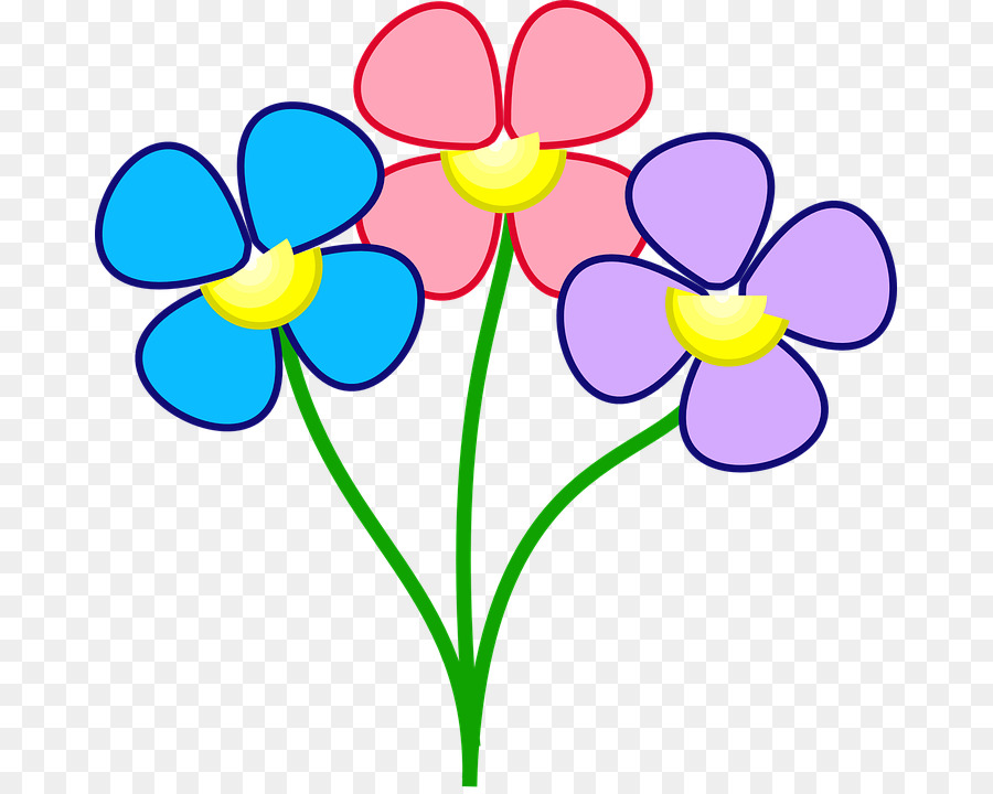 Flor，Color PNG