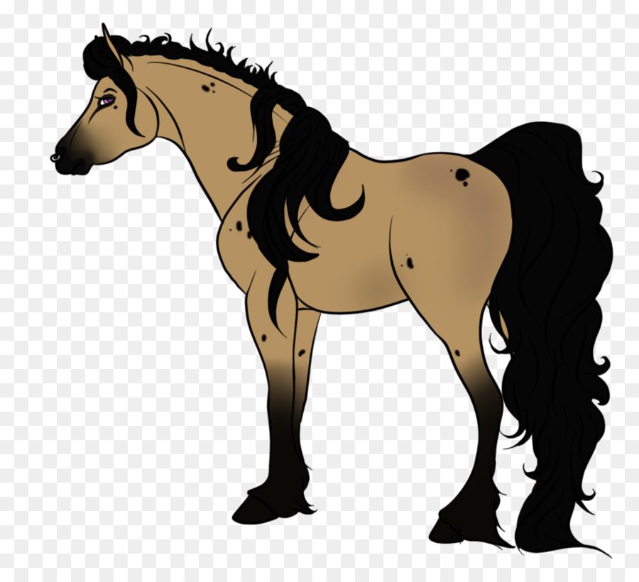 Caballo，Equino PNG