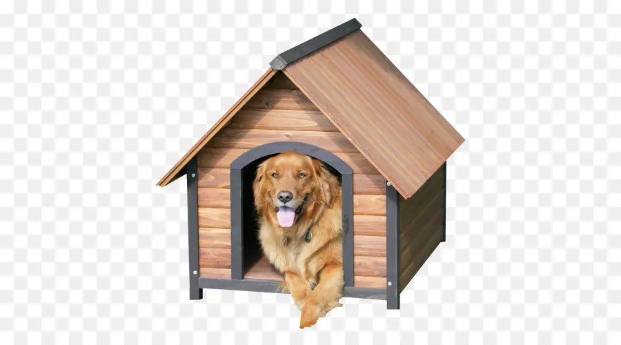 Perro，Casas Para Perros PNG