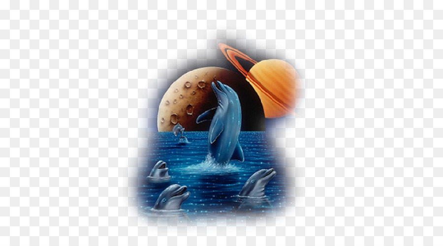 Animación，Dolphin PNG