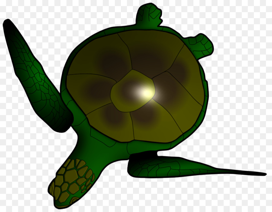 Tortuga，Reptil PNG