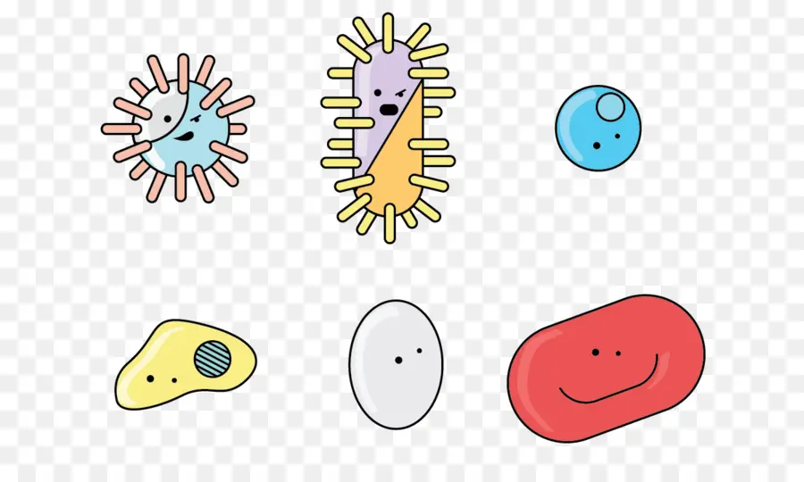 Las Bacterias，Flagelo PNG