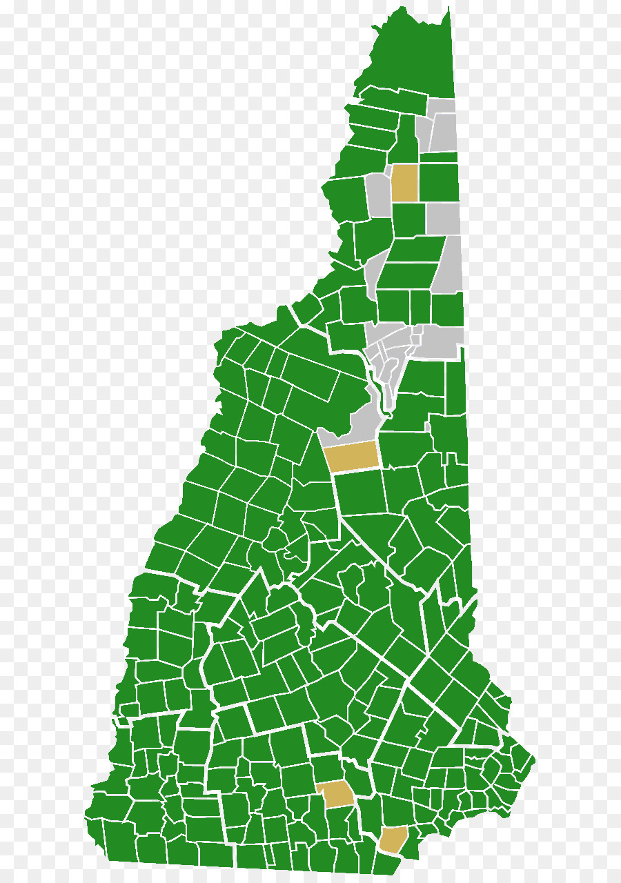 New Hampshire，New Hampshire Primary PNG