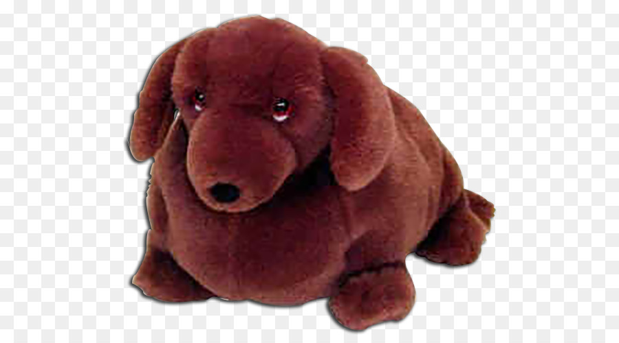 Cachorro，Dachshund PNG