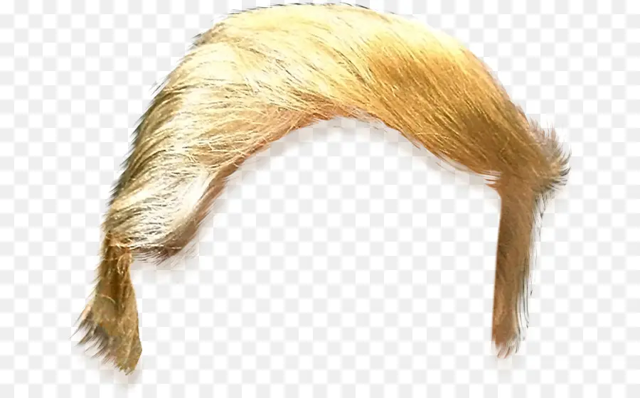 Estados Unidos，Trump Cabello PNG