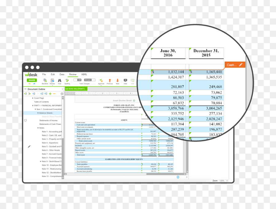 Xbrl，Declaración Financiera PNG