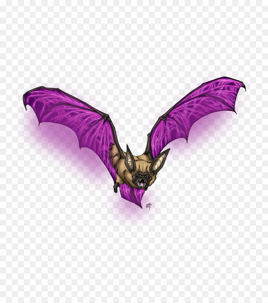 Púrpura，Violeta PNG