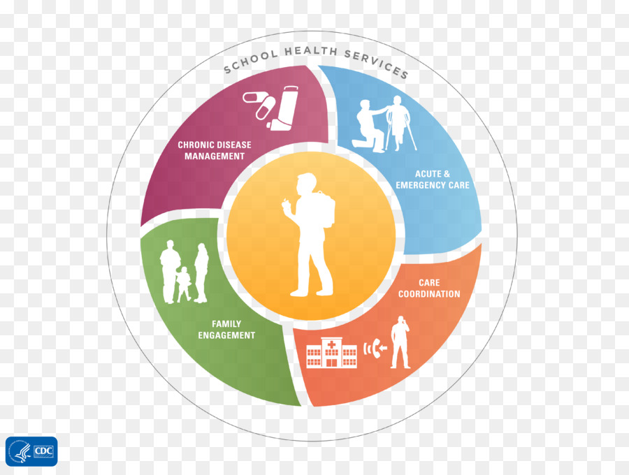 Diagrama De Servicios De Salud Escolar，Salud PNG