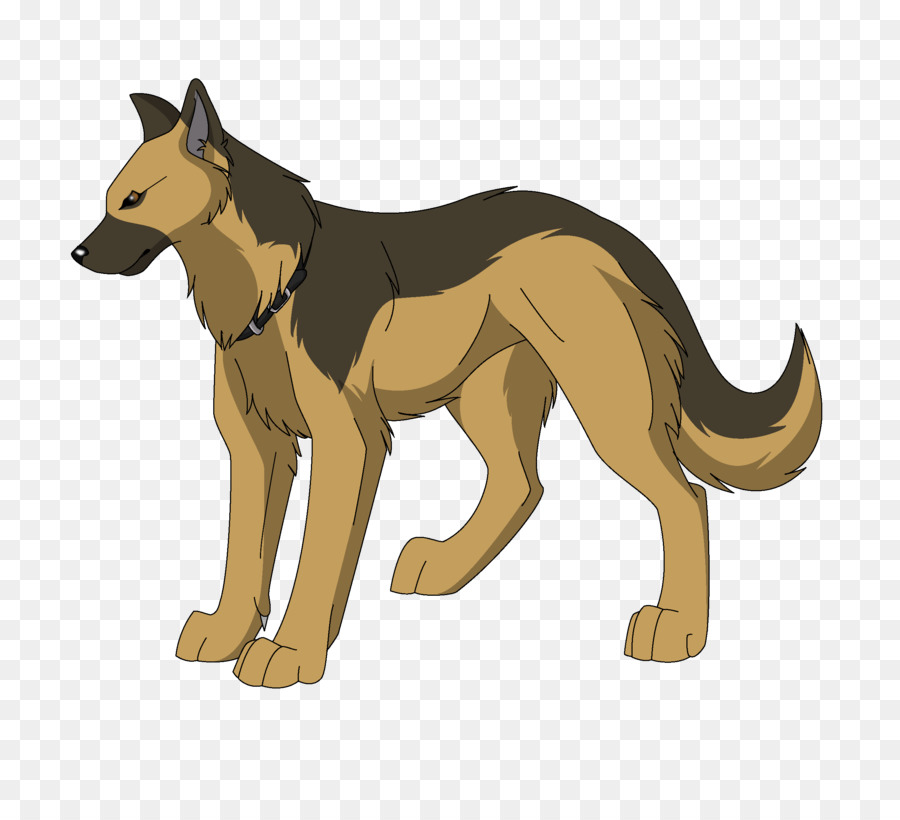 Lobo，Canino PNG