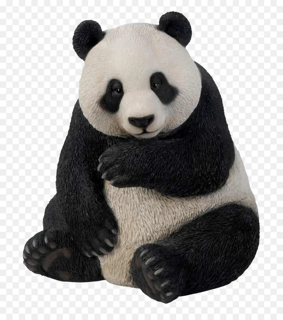 El Panda Gigante，Oso PNG