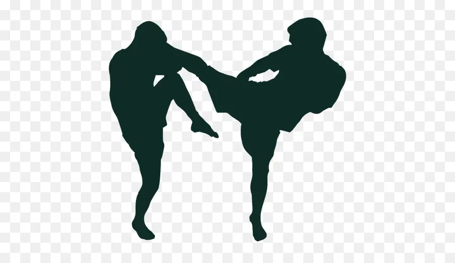 Las Artes Marciales Mixtas，Boxeo PNG