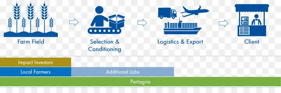 Proceso Logístico，Cadena De Suministro PNG