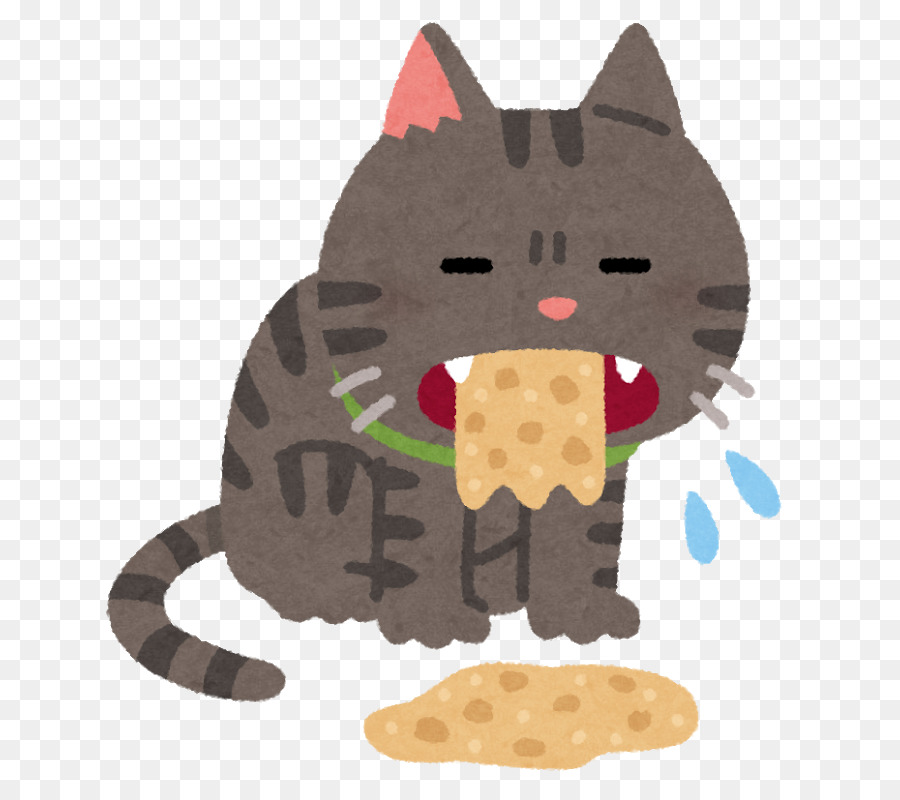 La Comida Para Gatos，Gato PNG