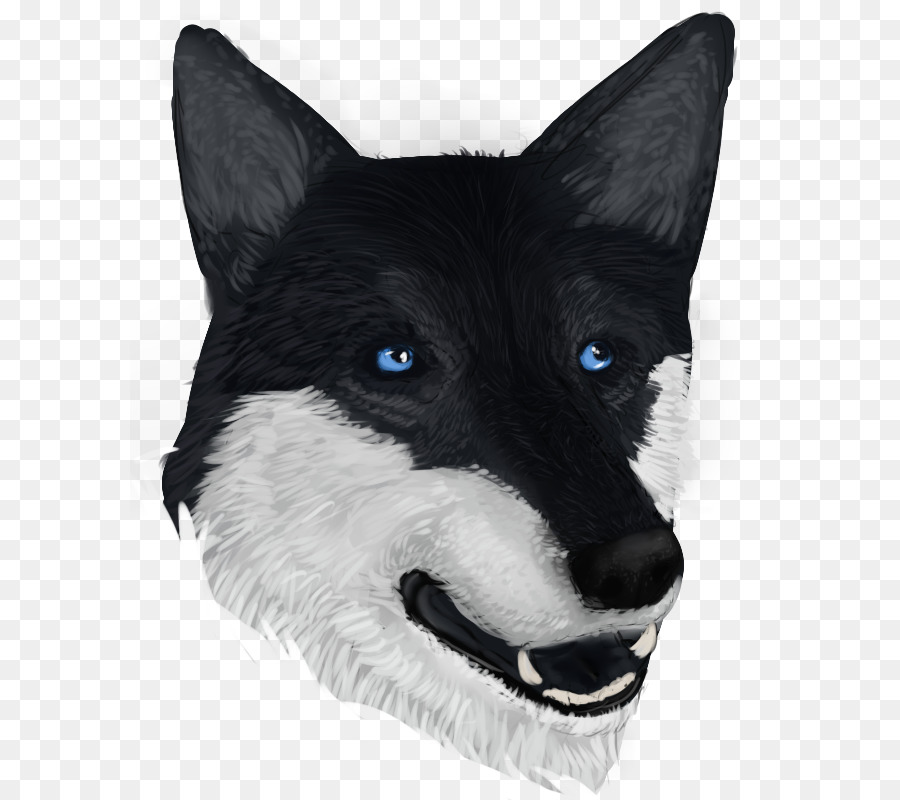 Husky Siberiano，Carelio Oso Perro PNG