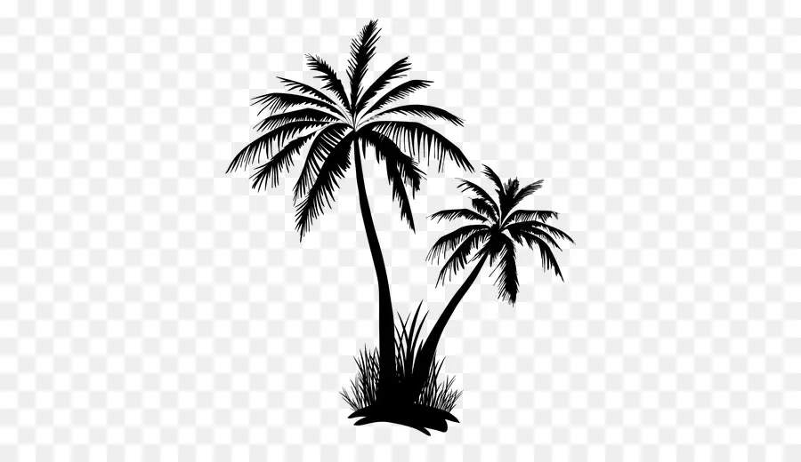 Arecaceae，árbol PNG