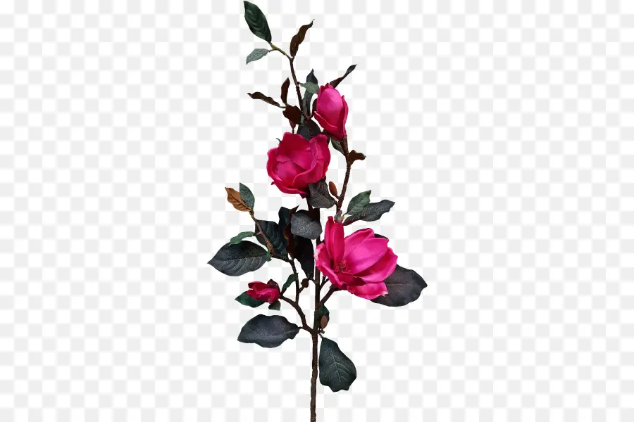 Flores Rosadas，Florecer PNG