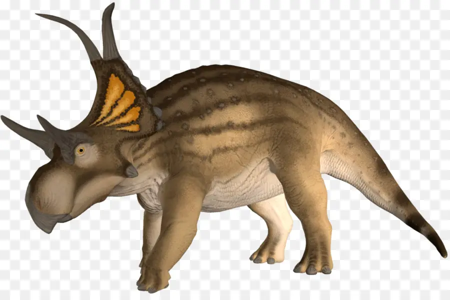 Dinosaurio，Diabloceratops PNG