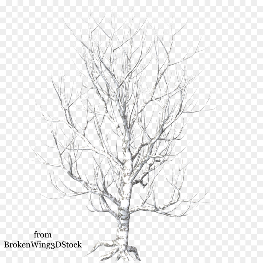 árbol Desnudo，Invierno PNG