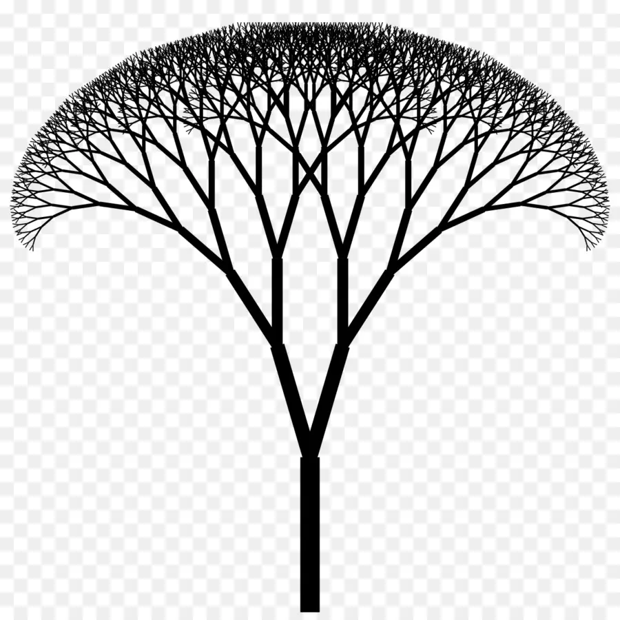 Silueta De Arbol，Sucursales PNG