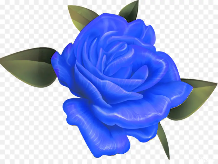 Azul，Rosa PNG
