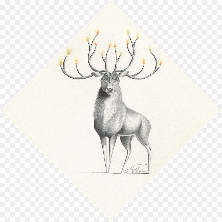 Deer，Reindeer PNG