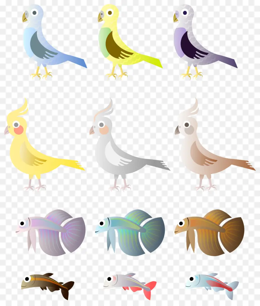 Pájaros Y Peces，Vistoso PNG