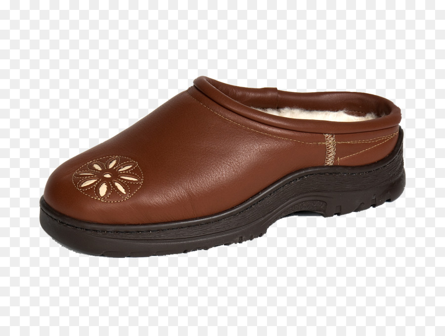 Zapatilla，Zapato PNG