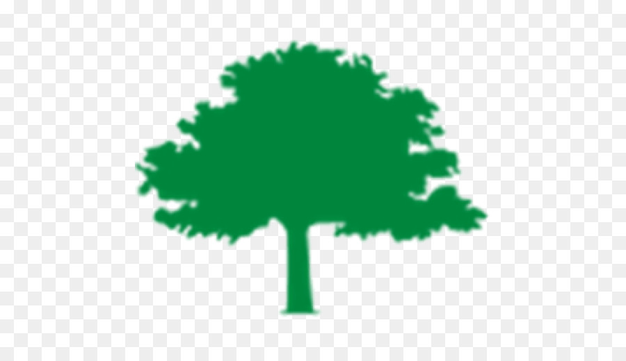 árbol Verde，Árbol PNG