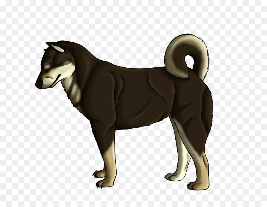 Shikoku Perro，Husky Siberiano PNG