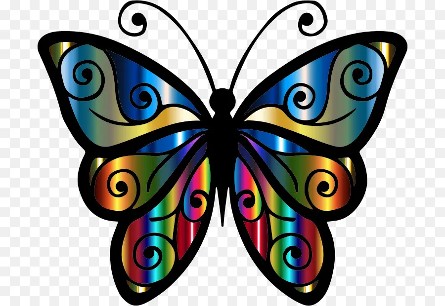 Mariposa，Fondo De Escritorio PNG