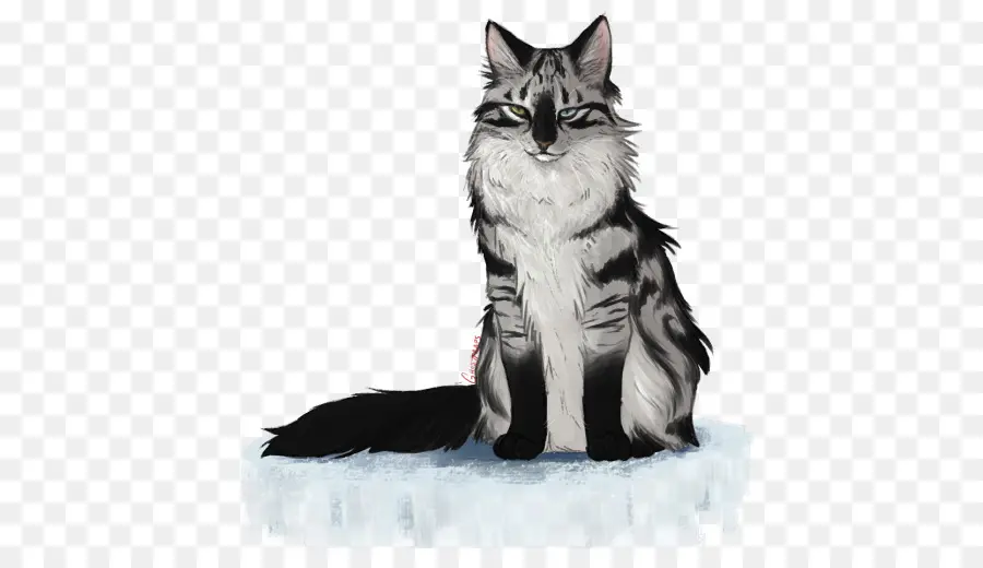 Maine Coon，Gato Del Bosque De Noruega PNG