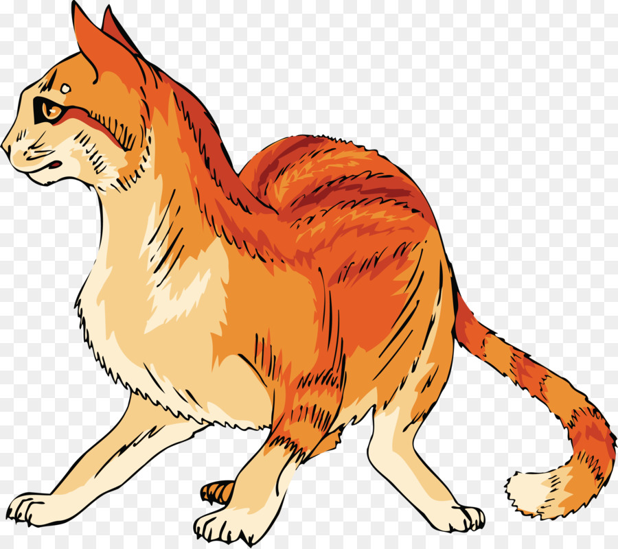 Gato，Mascota PNG