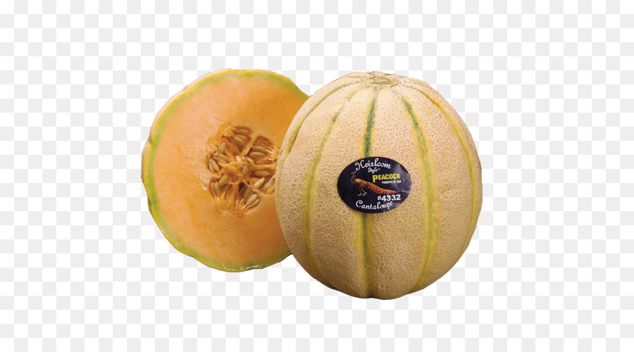 Melón，Melón Galia PNG