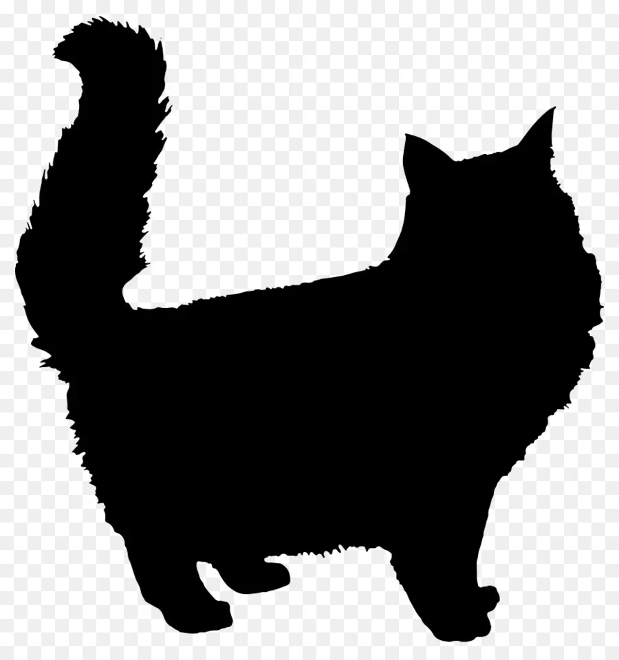 Gato Persa，Gatito PNG