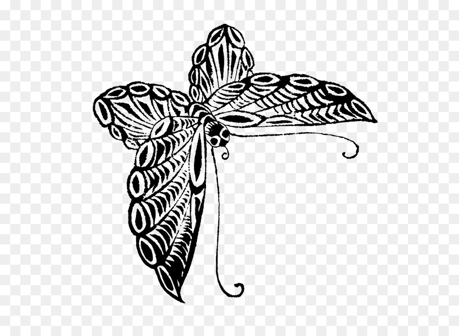 Mariposa，Dibujo PNG