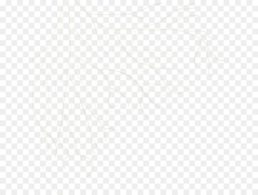 Dibujo，Monocromo PNG