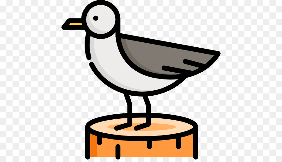 Pájaro，Gaviota PNG