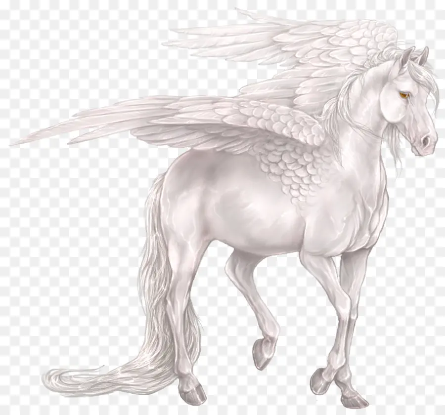 Pegasus，Unicornio PNG