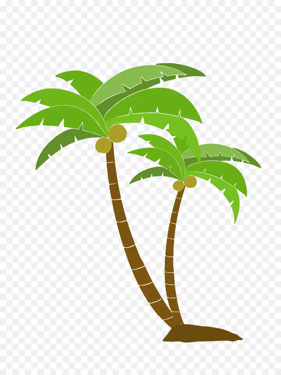 Arecaceae，árbol PNG