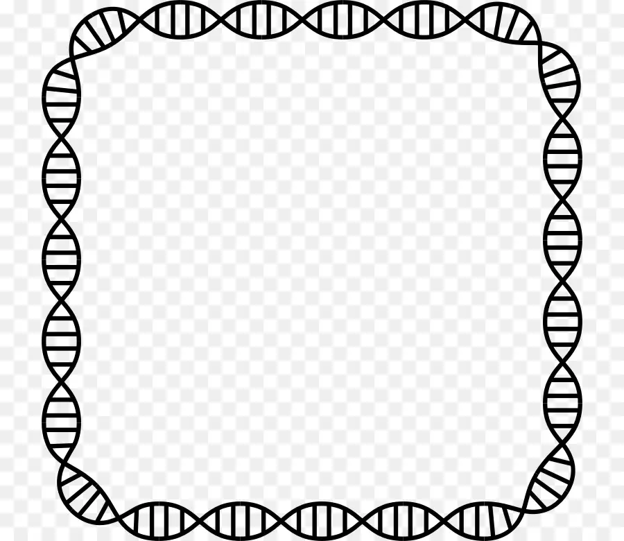 El ácido Nucleico De Doble Hélice，Adn PNG