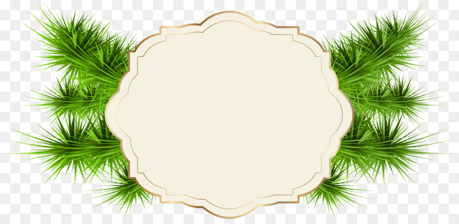 Santa Claus，Tarjeta De Navidad PNG