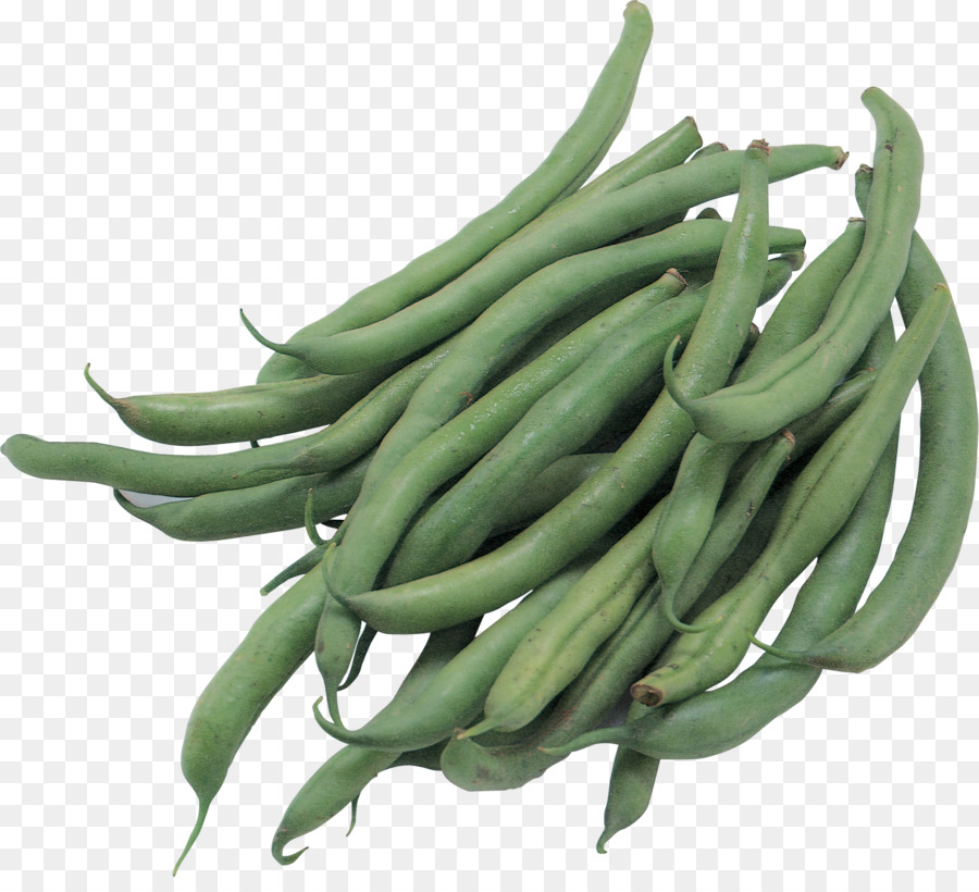 Vegetal，De Judías Verdes PNG