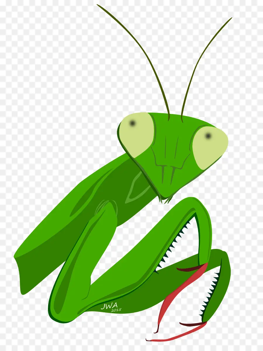 Mantis，Los Insectos PNG